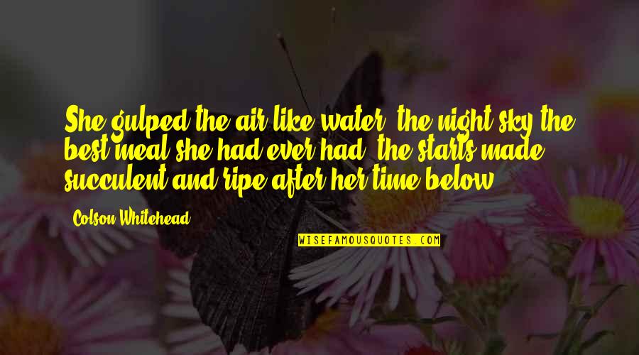 Water And Sky Quotes By Colson Whitehead: She gulped the air like water, the night Water And Sky Quotes By Colson Whitehead: She gulped the air like water, the night