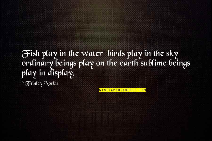 Water And Sky Quotes By Thinley Norbu: Fish play in the water birds play in Water And Sky Quotes By Thinley Norbu: Fish play in the water birds play in