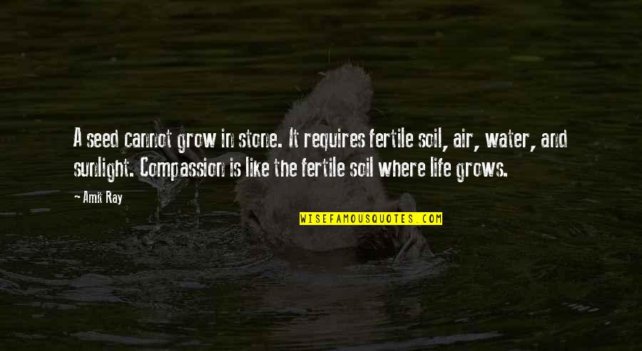 Water And Soil Quotes By Amit Ray: A seed cannot grow in stone. It requires