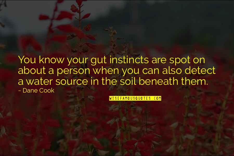 Water And Soil Quotes By Dane Cook: You know your gut instincts are spot on