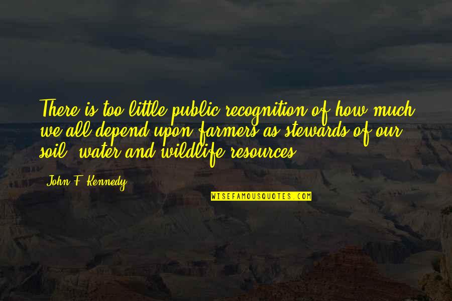 Water And Soil Quotes By John F. Kennedy: There is too little public recognition of how