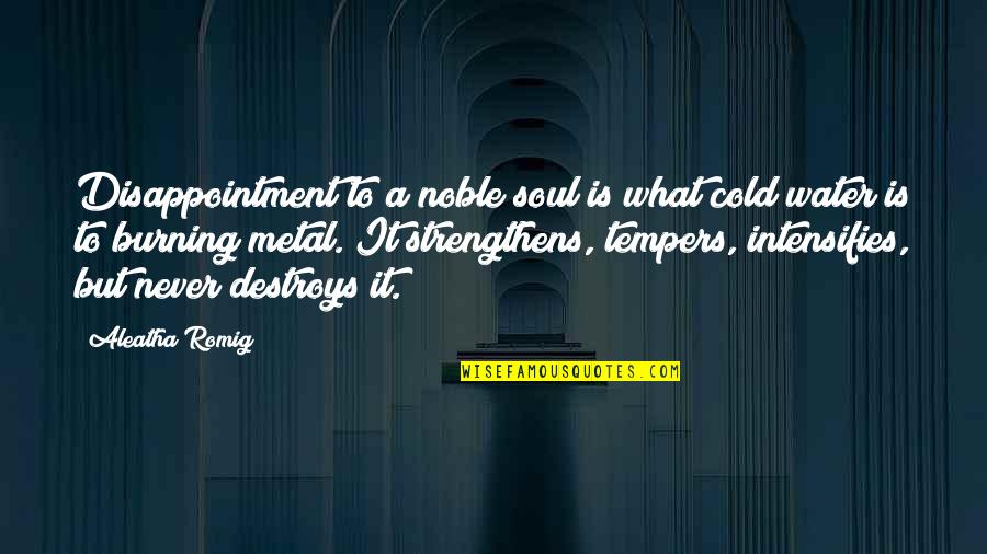 Water And The Soul Quotes By Aleatha Romig: Disappointment to a noble soul is what cold