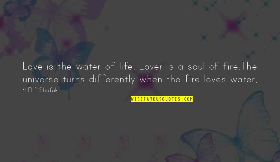 Water And The Soul Quotes By Elif Shafak: Love is the water of life. Lover is