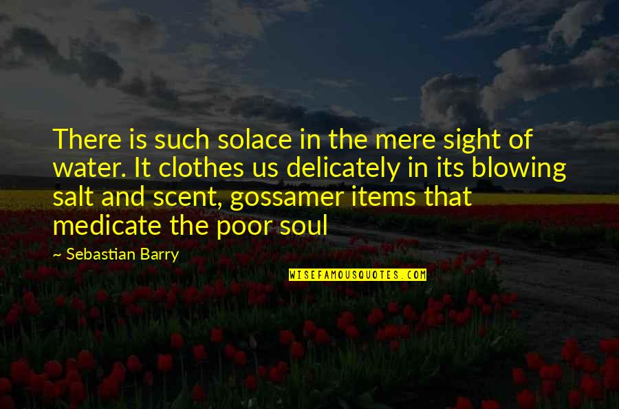 Water And The Soul Quotes By Sebastian Barry: There is such solace in the mere sight