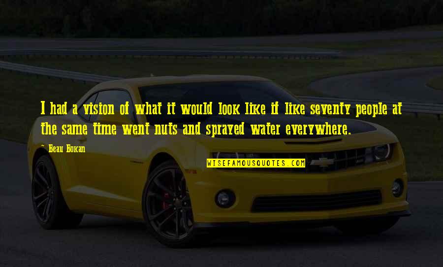 Water And Time Quotes By Beau Bokan: I had a vision of what it would Water And Time Quotes By Beau Bokan: I had a vision of what it would