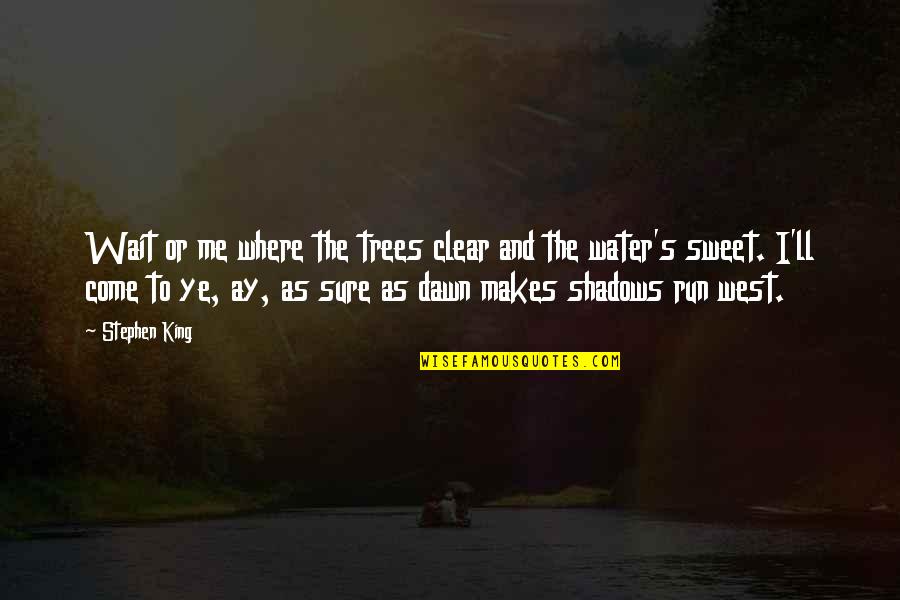 Water And Trees Quotes By Stephen King: Wait or me where the trees clear and