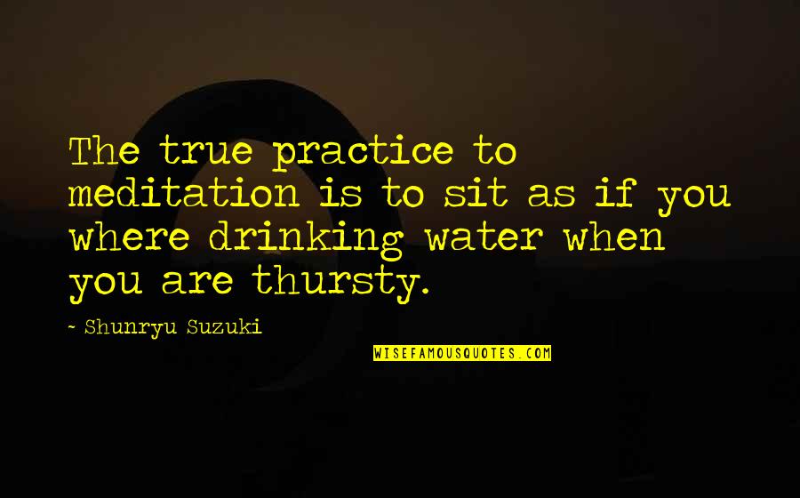 Water As Quotes By Shunryu Suzuki: The true practice to meditation is to sit