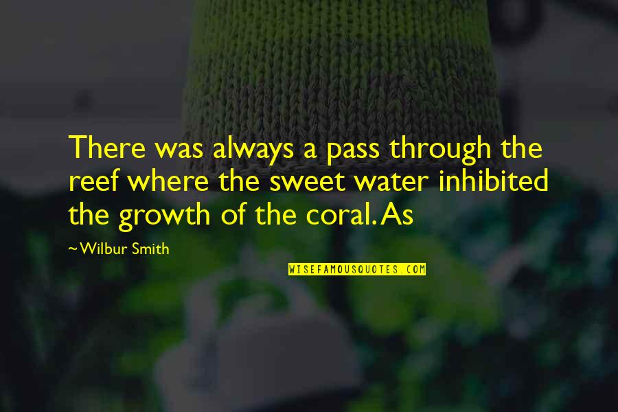 Water As Quotes By Wilbur Smith: There was always a pass through the reef