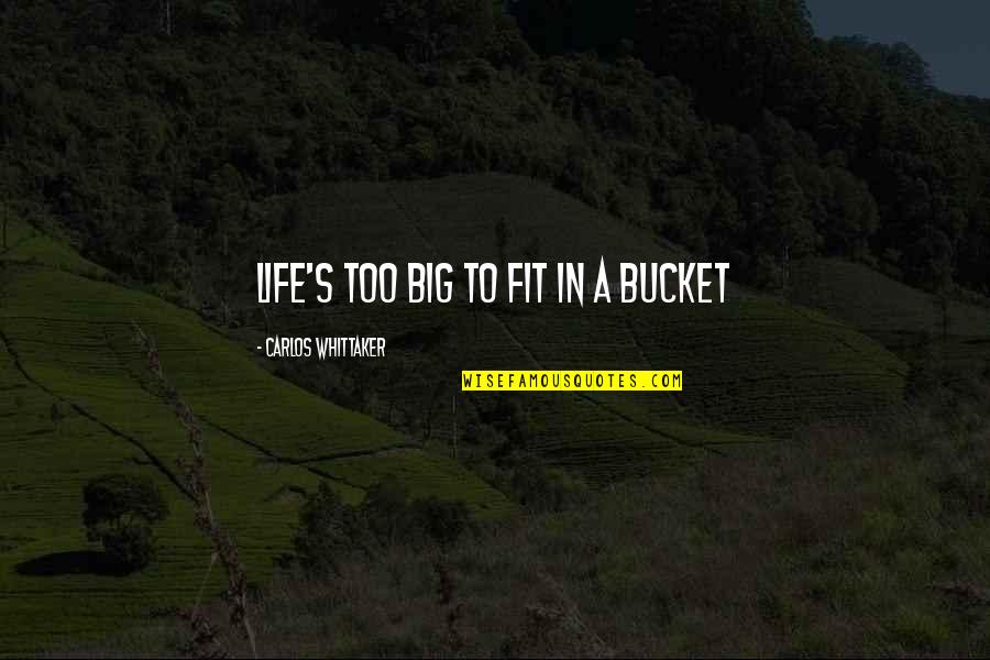 Water Bottles Quotes By Carlos Whittaker: Life's too big to fit in a bucket Water Bottles Quotes By Carlos Whittaker: Life's too big to fit in a bucket