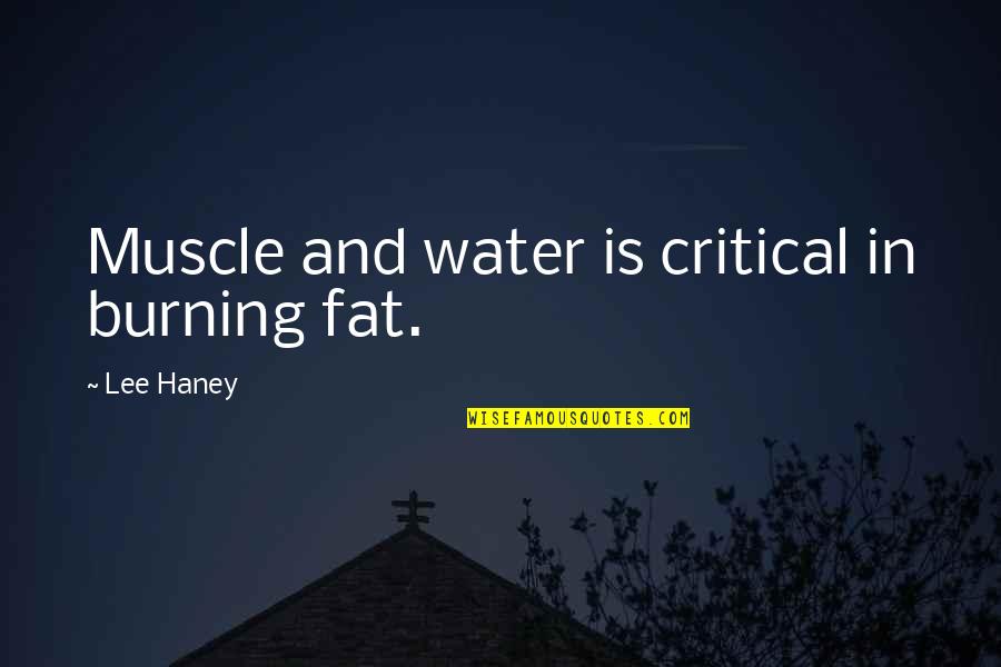 Water Burning Quotes By Lee Haney: Muscle and water is critical in burning fat.