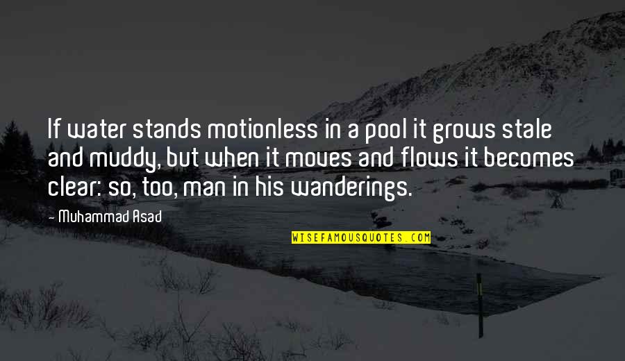 Water Clear Quotes By Muhammad Asad: If water stands motionless in a pool it