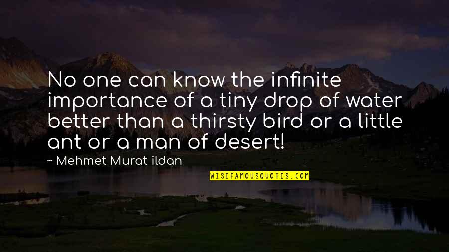Water Drop Quotes By Mehmet Murat Ildan: No one can know the infinite importance of