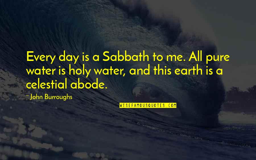 Water Each Day Quotes By John Burroughs: Every day is a Sabbath to me. All
