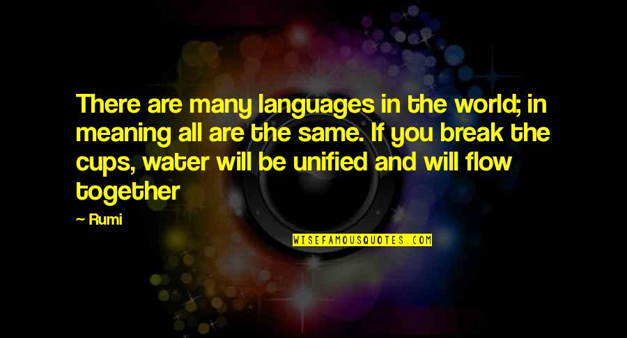 Water Flow Quotes By Rumi: There are many languages in the world; in