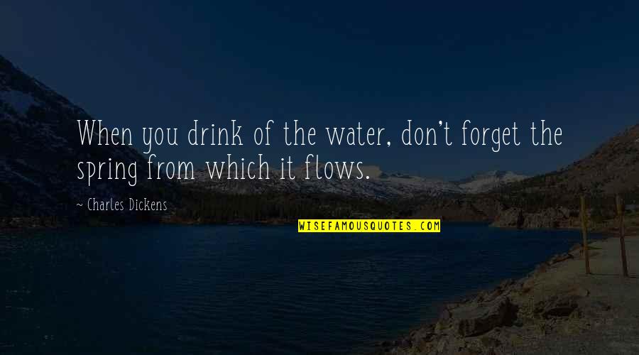 Water Flows Quotes By Charles Dickens: When you drink of the water, don't forget