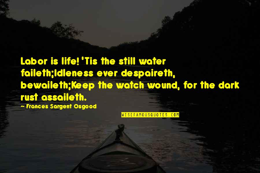 Water For Life Quotes By Frances Sargent Osgood: Labor is life! 'Tis the still water faileth;Idleness