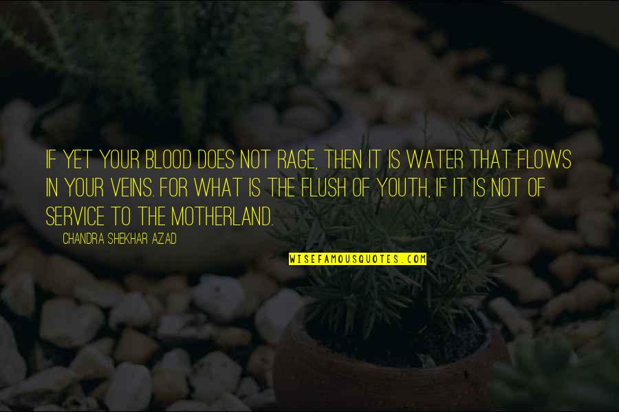 Water For Quotes By Chandra Shekhar Azad: If yet your blood does not rage, then
