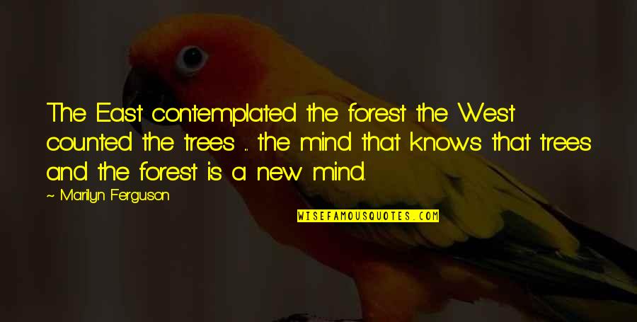 Water From Memoirs Of A Geisha Quotes By Marilyn Ferguson: The East contemplated the forest the West counted Water From Memoirs Of A Geisha Quotes By Marilyn Ferguson: The East contemplated the forest the West counted