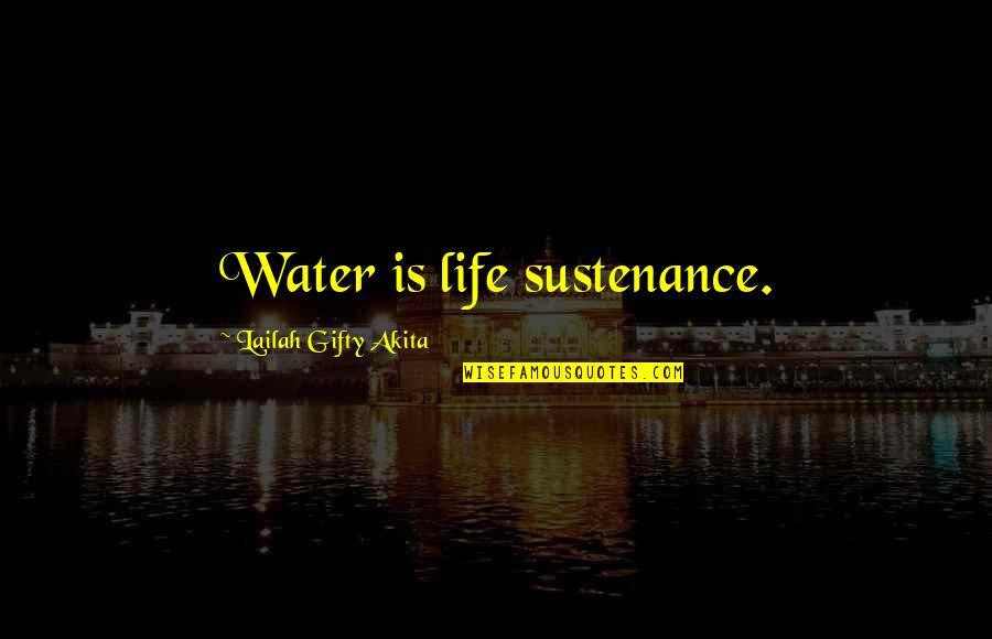 Water Is Life Quotes By Lailah Gifty Akita: Water is life sustenance.