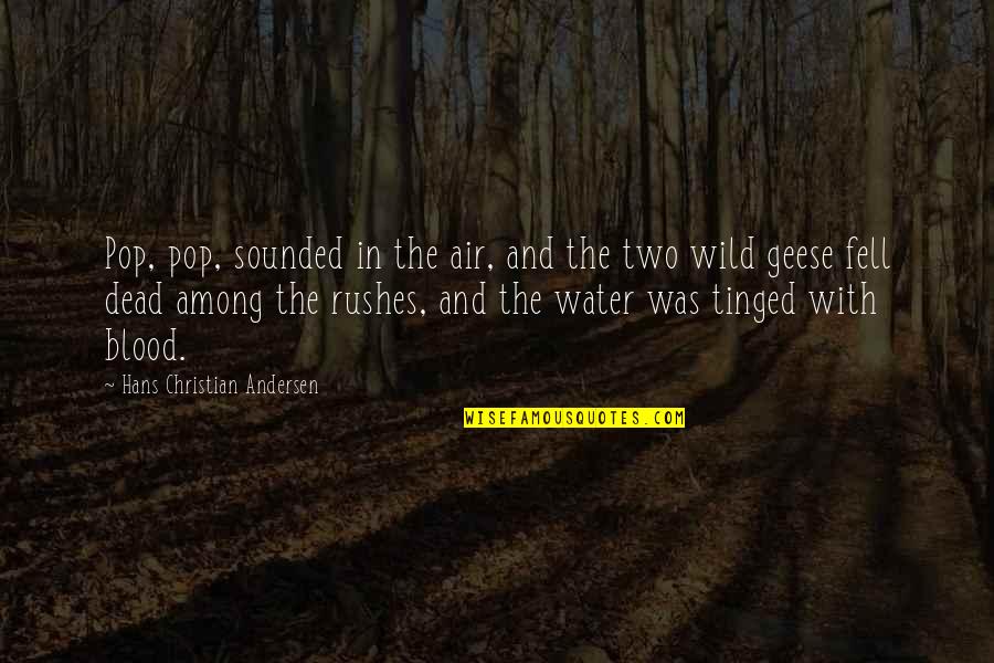 Water Over Blood Quotes By Hans Christian Andersen: Pop, pop, sounded in the air, and the