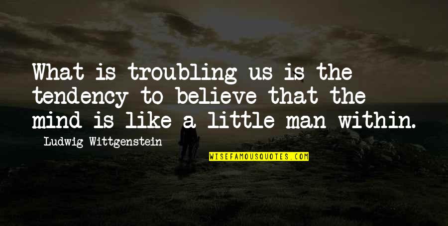 Water Pipe Quotes By Ludwig Wittgenstein: What is troubling us is the tendency to