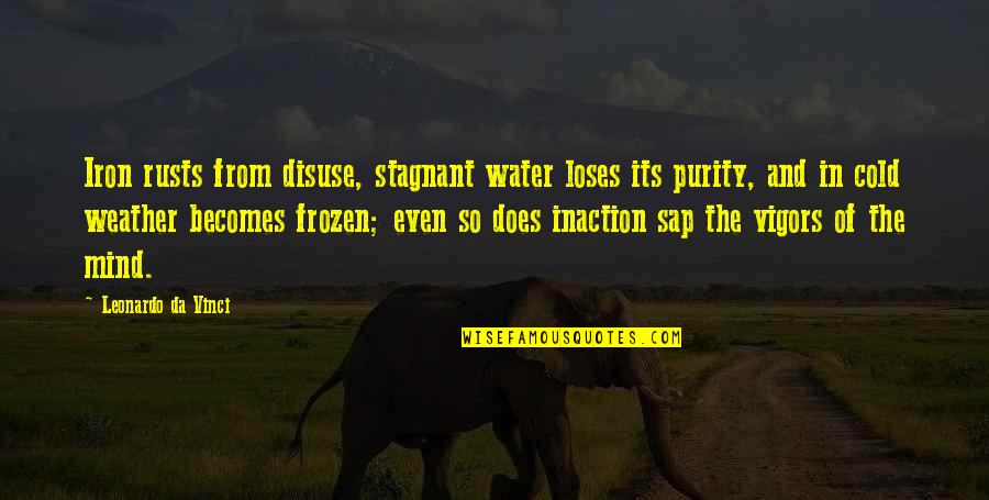 Water Purity Quotes By Leonardo Da Vinci: Iron rusts from disuse, stagnant water loses its