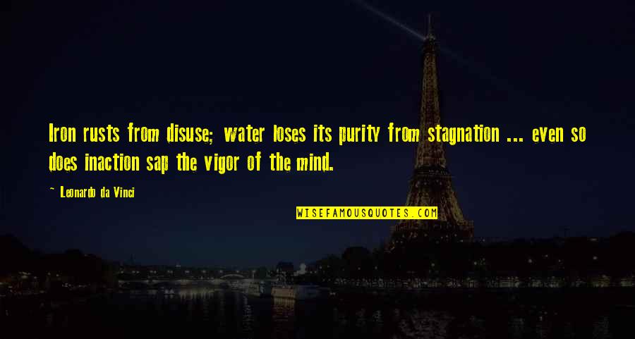 Water Purity Quotes By Leonardo Da Vinci: Iron rusts from disuse; water loses its purity