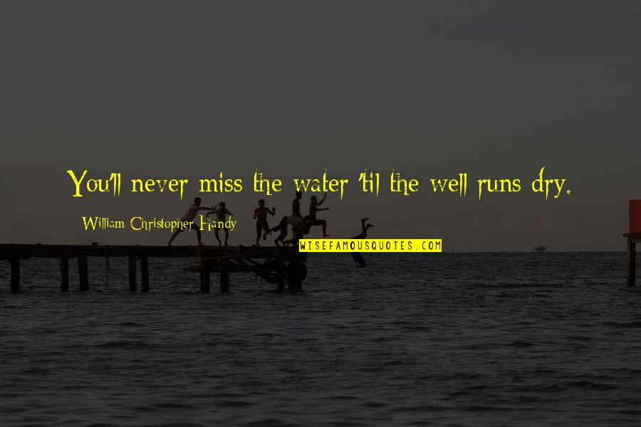 Water Runs Dry Quotes By William Christopher Handy: You'll never miss the water 'til the well