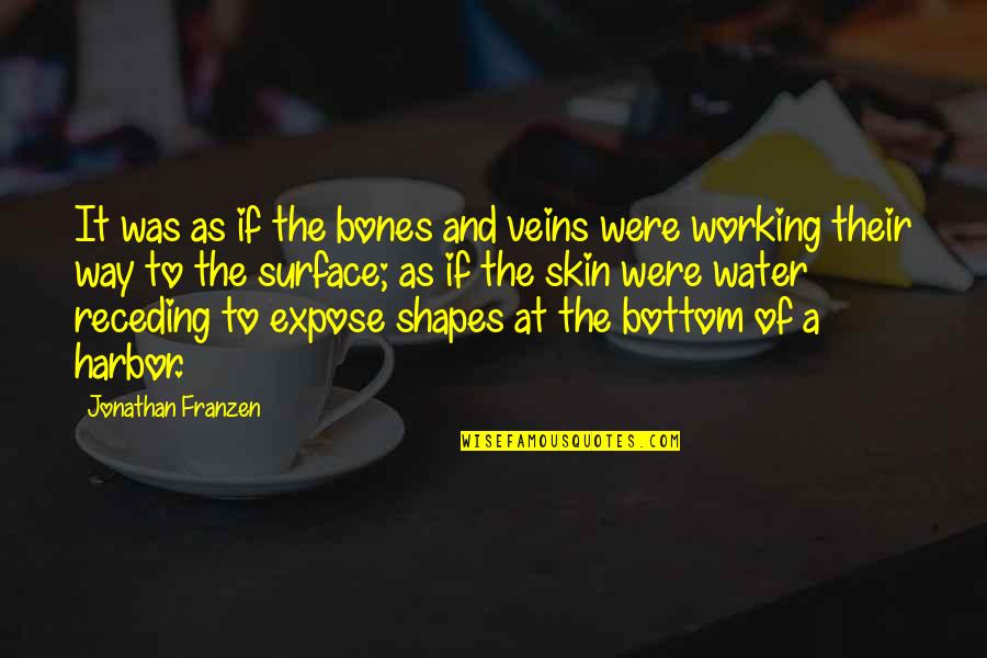 Water Surface Quotes By Jonathan Franzen: It was as if the bones and veins Water Surface Quotes By Jonathan Franzen: It was as if the bones and veins