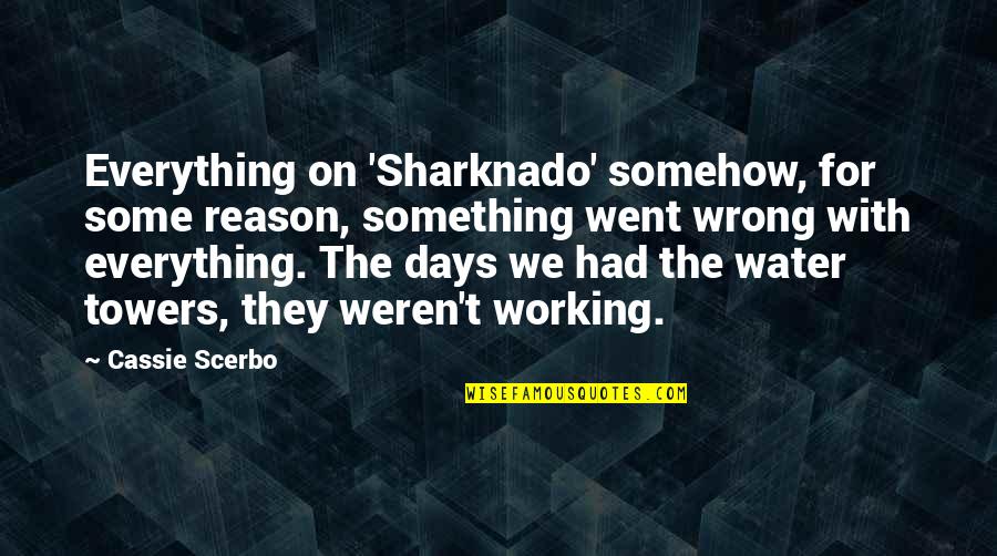 Water Towers Quotes By Cassie Scerbo: Everything on 'Sharknado' somehow, for some reason, something