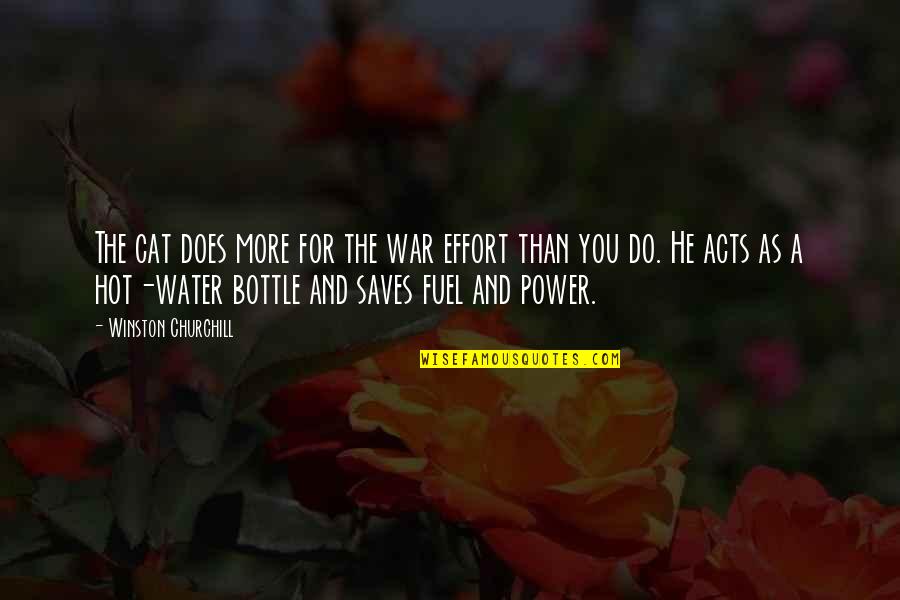 Water War Quotes By Winston Churchill: The cat does more for the war effort