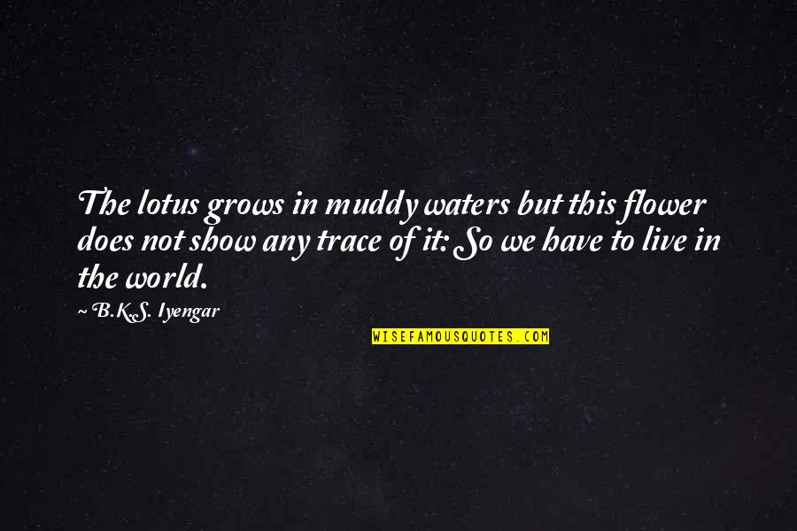 Water World Quotes By B.K.S. Iyengar: The lotus grows in muddy waters but this