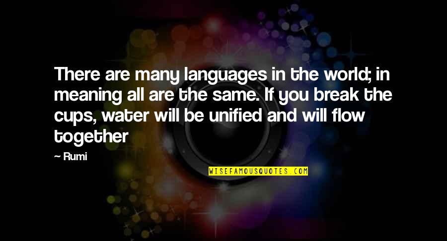 Water World Quotes By Rumi: There are many languages in the world; in