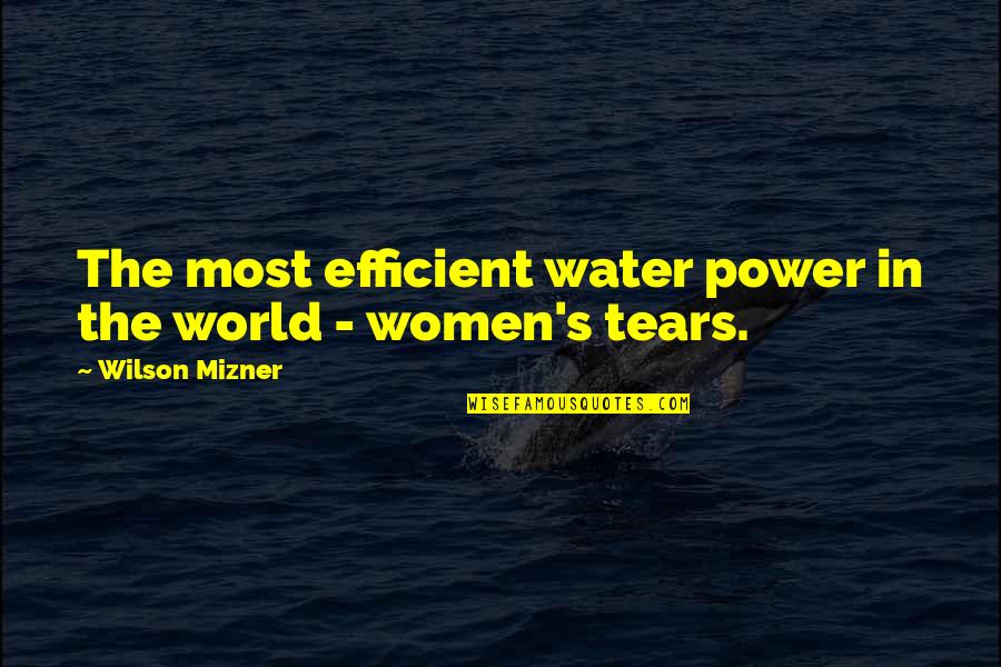 Water World Quotes By Wilson Mizner: The most efficient water power in the world