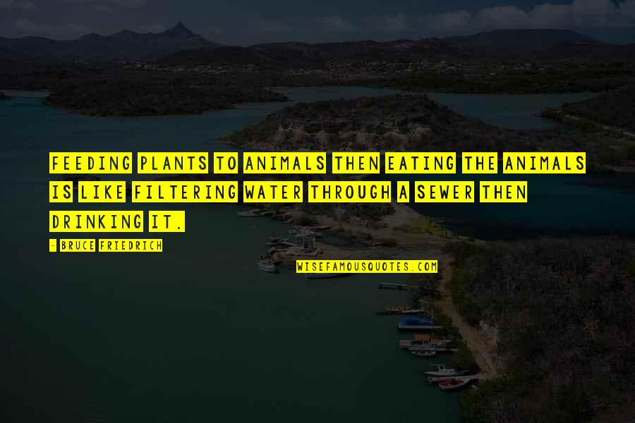 Water Your Own Plants Quotes By Bruce Friedrich: Feeding plants to animals then eating the animals Water Your Own Plants Quotes By Bruce Friedrich: Feeding plants to animals then eating the animals