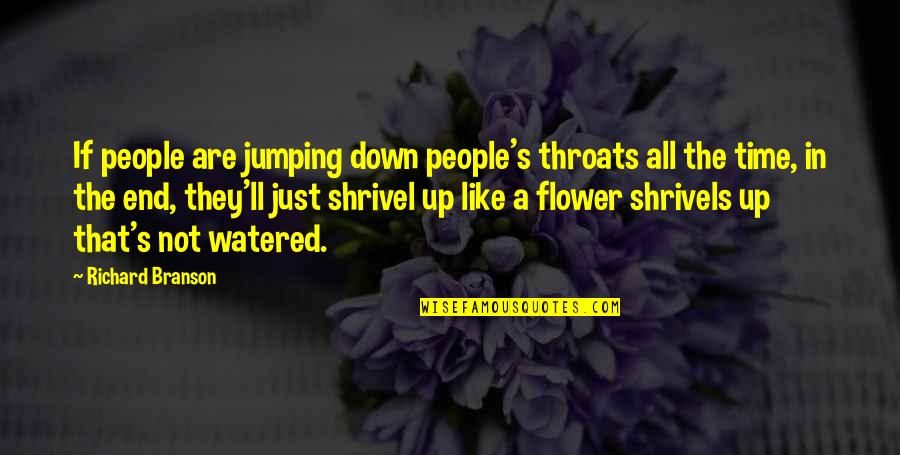 Watered Quotes By Richard Branson: If people are jumping down people's throats all