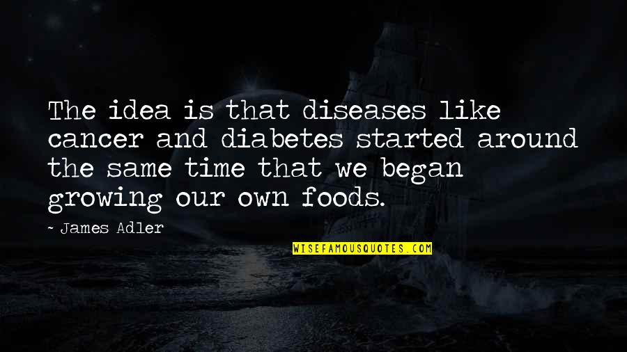 Waterfall And Life Quotes By James Adler: The idea is that diseases like cancer and Waterfall And Life Quotes By James Adler: The idea is that diseases like cancer and