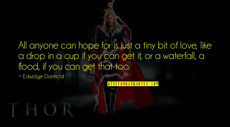 Waterfall Quotes By Edwidge Danticat: All anyone can hope for is just a Waterfall Quotes By Edwidge Danticat: All anyone can hope for is just a