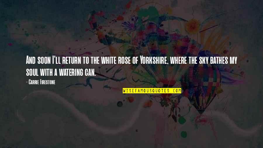 Watering Quotes By Carrie Firestone: And soon I'll return to the white rose