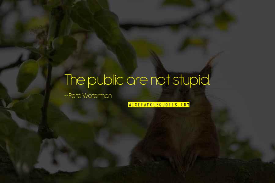 Waterman Quotes By Pete Waterman: The public are not stupid.