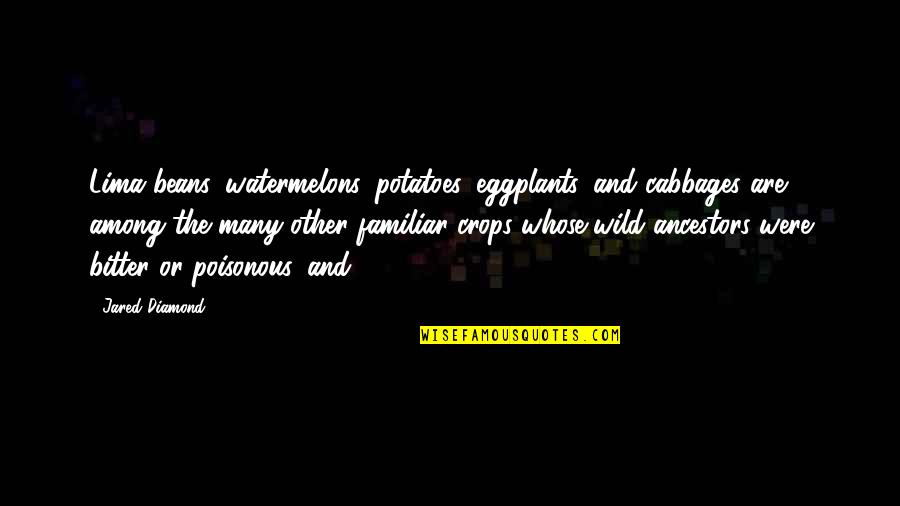 Watermelons Quotes By Jared Diamond: Lima beans, watermelons, potatoes, eggplants, and cabbages are