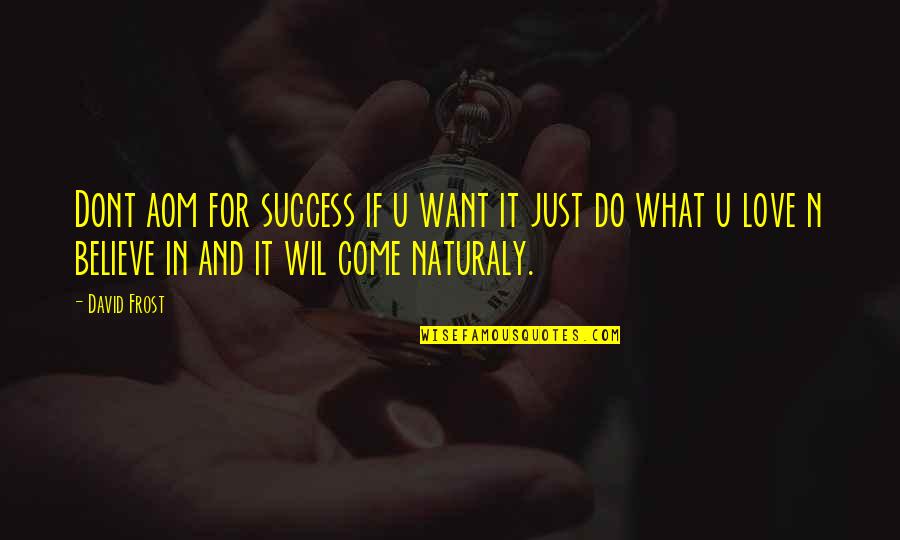 Waterschoot Karine Quotes By David Frost: Dont aom for success if u want it