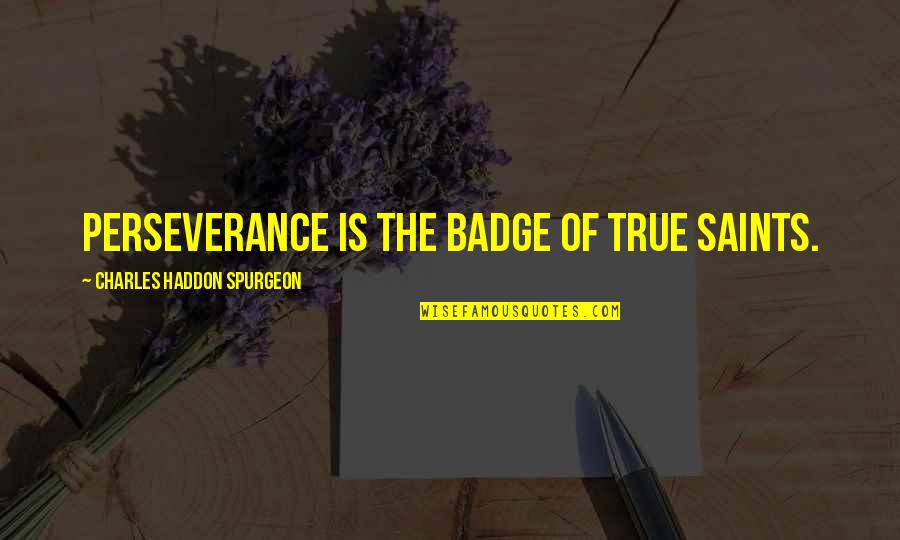 Watersheds Quotes By Charles Haddon Spurgeon: PERSEVERANCE is the badge of true saints.