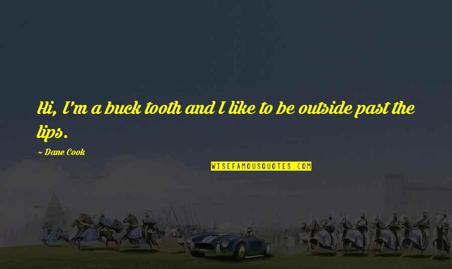 Watership Down Seagull Quotes By Dane Cook: Hi, I'm a buck tooth and I like