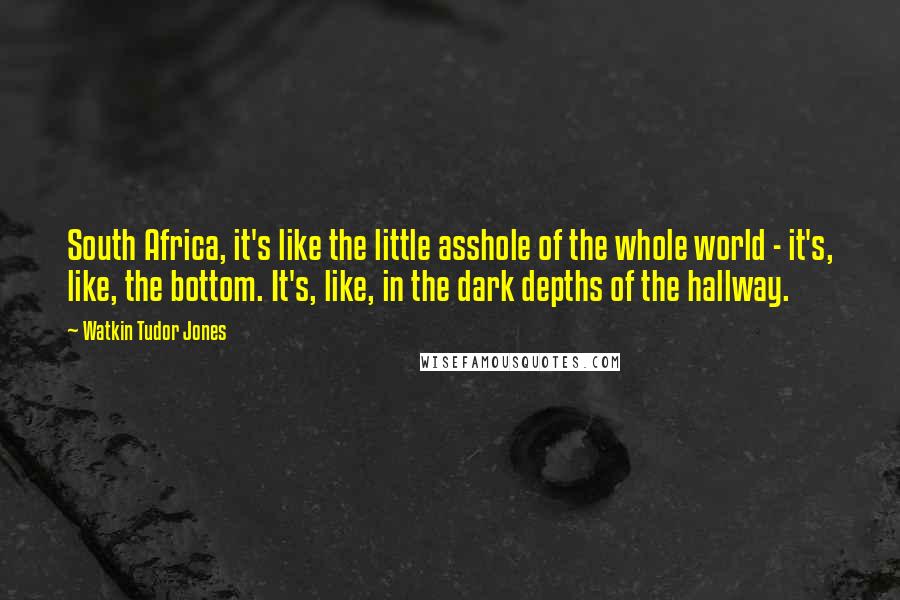 Watkin Tudor Jones quotes: South Africa, it's like the little asshole of the whole world - it's, like, the bottom. It's, like, in the dark depths of the hallway.