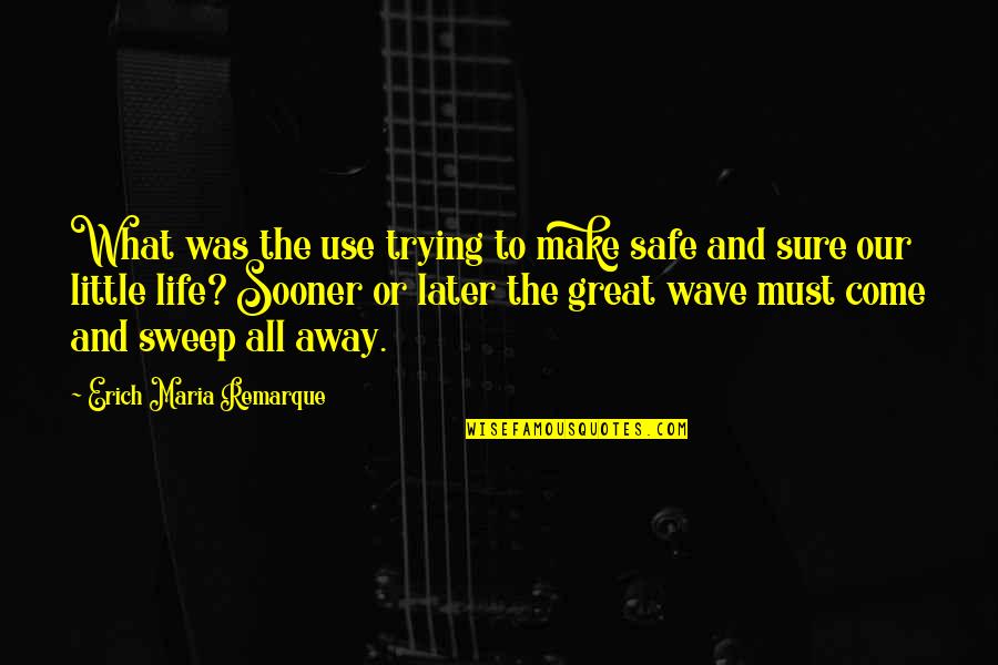 Wave And Life Quotes By Erich Maria Remarque: What was the use trying to make safe