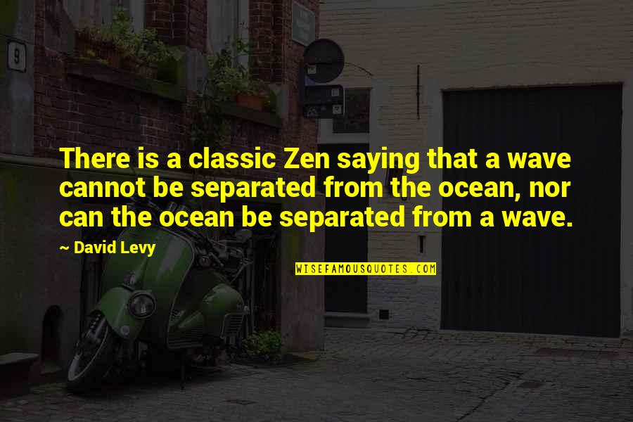 Wave In The Ocean Quotes By David Levy: There is a classic Zen saying that a