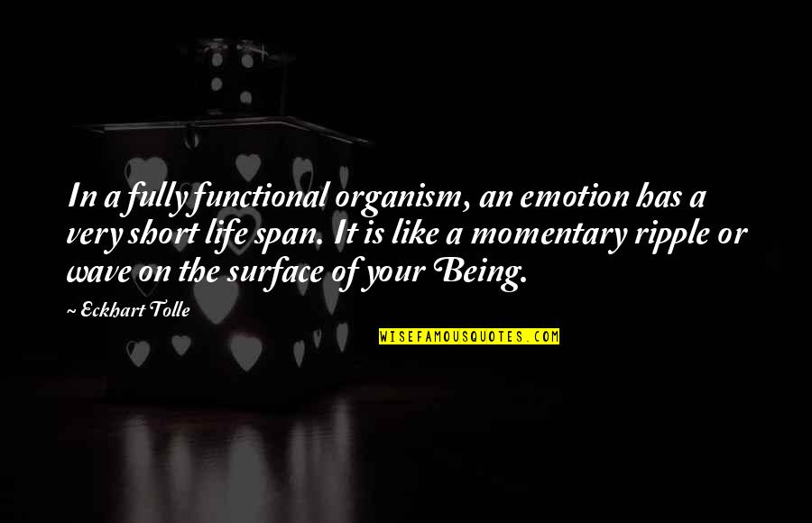 Wave Of Life Quotes By Eckhart Tolle: In a fully functional organism, an emotion has Wave Of Life Quotes By Eckhart Tolle: In a fully functional organism, an emotion has