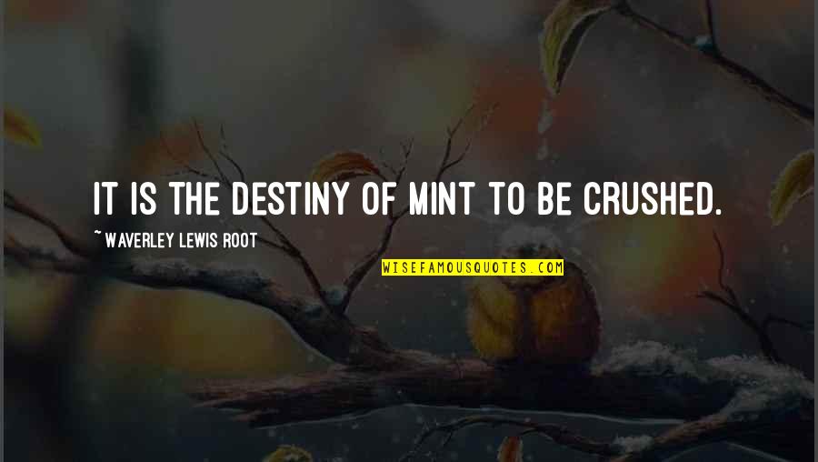 Waverley's Quotes By Waverley Lewis Root: It is the destiny of mint to be