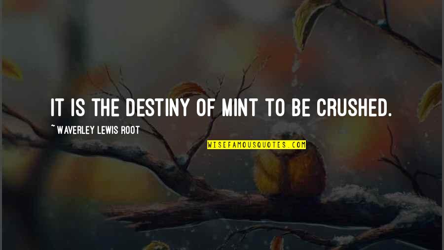 Waverley's Quotes By Waverley Lewis Root: It is the destiny of mint to be Waverley's Quotes By Waverley Lewis Root: It is the destiny of mint to be